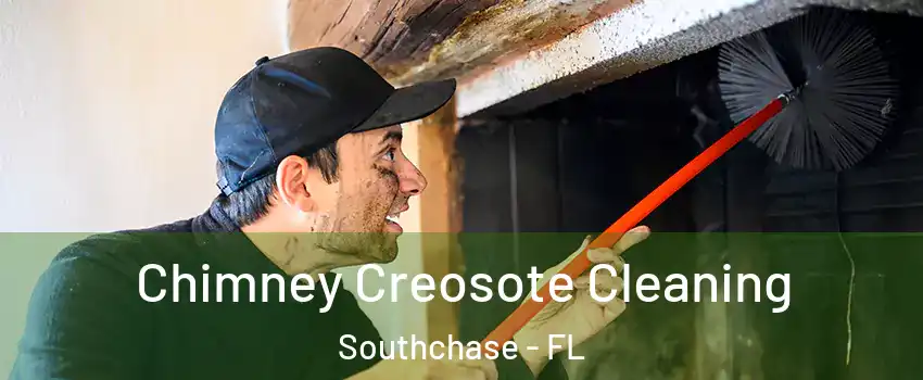 Chimney Creosote Cleaning Southchase - FL