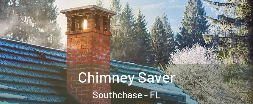  Chimney Saver Southchase - FL
