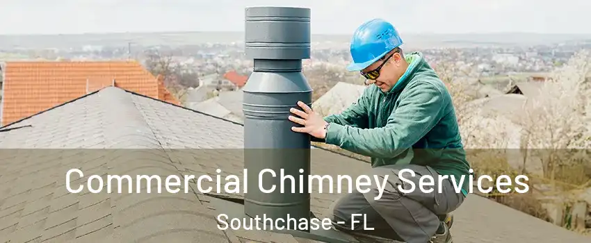  Commercial Chimney Services Southchase - FL