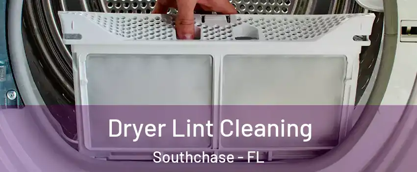 Dryer Lint Cleaning Southchase - FL