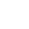 Professional Chimney Flue Installation in Southchase, Florida