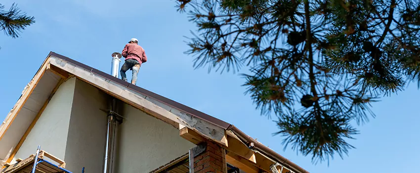Birds Removal Contractors from Chimney in Southchase, FL